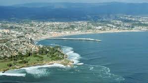 Non Profit Spotlight