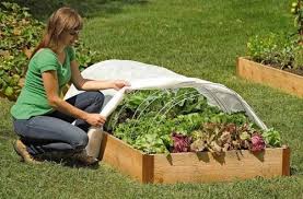 Unboxing review garten netting regenschutz tuch plane sonnenschutz isolierung verdickung baldachin leinwand öl tuch lkw abdeckung feuchtigkeitsbeständig. Wetterschutz Fur Hochbeete Pflanzenfreunde