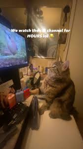 Profile for Jasmin Shabel