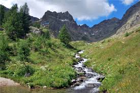 Discover the best of bagni di vinadio so you can plan your trip right. Terme Bagni Di Vinadio E La Pecora Sambucana Luoghi Italian Botanical Heritage