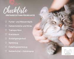 Liebe grüße von kerstin mit ihren fellnasen Katze Halten Die Besten Tipps Rund Um Die Katzenhaltung Mein Haustier
