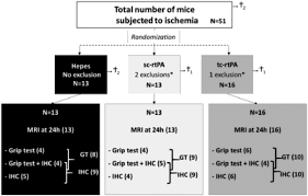 Explore tweets of rtpa @rtpaoficial on twitter. Single And Two Chain Tissue Type Plasminogen Activator Treatments Differentially Influence Cerebral Recovery After Stroke Sciencedirect