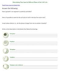 Then, study the cell cycle overview and clickstart the animation for each part to conduct the virtual lab.then, answer the following questions:1. Onion Root Mitosis And Cell Cycle Lab Knology Net