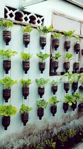1 Bp Blogspot Com Icilqro156c Vgtnsqpai I Aaaaaaaacd4 Urcqsenmb5q S1600 Botol 2baqua Png Ide Berkebun Kebun Sayur Perkebunan Sayur