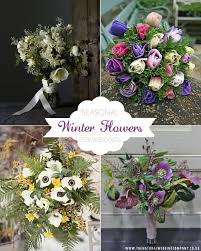 Maybe you would like to learn more about one of these? Choose Seasonal Blooms For Your Winter Wedding The Natural Wedding Company Winter Wedding Bouquet Winter Wedding Flowers Wedding Flowers
