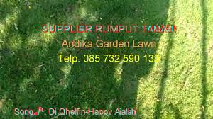 Ambathik yang dihasilkan dari lakuran kata ꦲꦩ꧀ꦧ (amba) yang berarti lebar atau luas (merujuk kepada kain), dan ꦤꦶꦛꦶꦏ꧀ (nithik) yang berarti membuat titik dan kemudian berkembang menjadi istilah bahasa jawa: Harga Rumput Jepang Di Jogja Tlp 62 857 3259 0133 Andika Garden Youtube