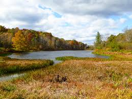 We did not find results for: Wayne National Forest Ironton Unit Morgan Sisters Trail Trekohio