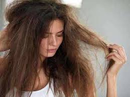 Literally in 20 years i've. Shampoo For Dry Hair Manage Your Dry And Dull Hair With These Shampoos Most Searched Products Times Of India