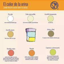 Pin By Majo Ricardez On Qfb