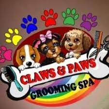 Nuestro objetivo es ser la cadena más grande de paws imagina un mundo en el que por medio de nuestra cadena logremos llegar todas las personas que reconocen el amor hacia los animales y. Claws And Paws Pet Parlours In Gansbaai Xplorio Gansbaai