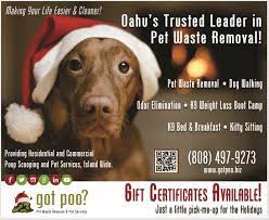 Making The Lives Of Those You Love Easier Cleaner Get Your Gift Certificates Today Wwwgotpoobiz 8084979273 Oa Service Animal Pets Pet Businesses