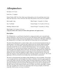 Check spelling or type a new query. Different Breed Of Dogs Terriers Dogs