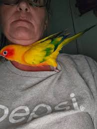 Lampasas Badgers #66 Caden Thrift (OL) #22 Jack Jerome (RB) #79 John Long  (OL) #2 Ace Whitehead (QB) #BadgerNation #KeaganSeniorYear Curtis Thrift,  Carey Thrift, Daniel O'Neill Long, Chuma Swope Jerome, Kirk Whitehead,