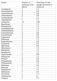 Image result for Gomphocarpus semilunatus