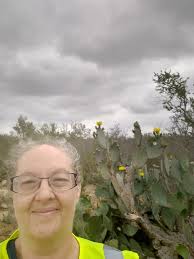 Automatic gate opener recommendations for 16ft cattle gate