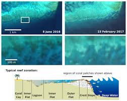 Sun, sea, sand and suffocating sediment. Satellites Show Coral Bleaching On Great Barrier Reef Hsat