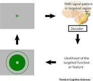 Image result for Functional MRI neurofeedback