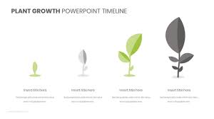 Plant Growth Powerpoint Timeline Plant Growth Powerpoint Plants
