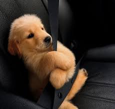 Yo bien regañada por dar mal las instrucciones del maps