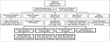Organization Chart For Agricultural Biotechnology Research
