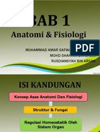 #smkmuhammadiyah5babat #asper #kesehatan jangan lupa like and subscribe ya kawan. Bab 1 Anatomi Fisiologi