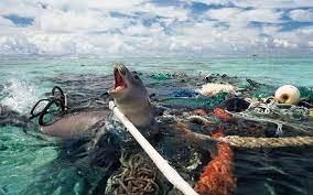 Sampah di laut dari darat. Data Mengerikan Soal Sampah Plastik Di Lautan