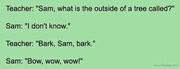 Do you like clever word jokes? English Jokes For Students