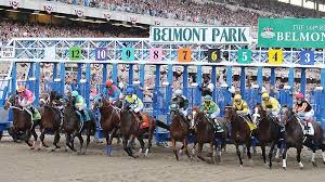 The belmont stakes, known as the test of the champion, is the oldest of the three american classic races, and is traditionally the last and longest leg of the triple crown. Belmont Stakes Thoroughbred Racing Wiki Fandom