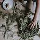 Herbal First Aid