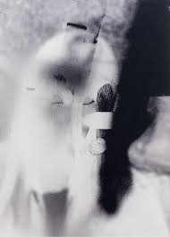 Bildergebnis für Shahin Afrassiabi