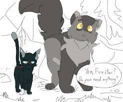 I Ve Been Trying To Post This On And Off For About Two Days But Here S To It Working More Of My Scour Warrior Cats Funny Warrior Cats Comics Warrior Cat Memes