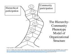 Organizational Structure Wikipedia