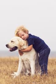 Adorable Boy Hugging Her Labrador Retriever Happy Kid With Big White Dog Outdoors Child And His Dog Best Friend Havi Labrador Retriever Labrador Labrador Dog