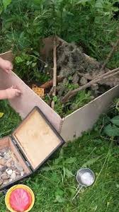 Schnecken Und Insekten Terrarium Fur Kinder Naturkindergarten Insekten Schnecke Basteln