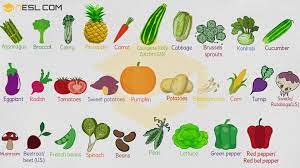 Learn all the vegetable name in english from the 100 vegetables name list with picture. List Of Vegetables Useful Vegetable Names In English With Images 7esl
