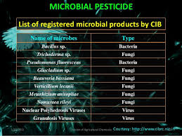 Biopesticides 18 are pest management agents based on living microorganisms or natural products. Biopesticides In Integrated Pest Management