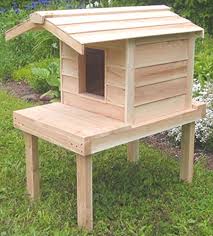 So that adorable kitty keeps showing up at your yard every day now that you've started feeding her? The 10 Best Outdoor Cat Houses 2021 Reviews