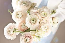 Most popular bridal bouquet flowers. The 15 Most Popular Wedding Flowers Gibral Flora Flowers