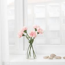 ✓ free for commercial use ✓ high quality images. Smycka Carnation Pink Artificial Flower Ikea