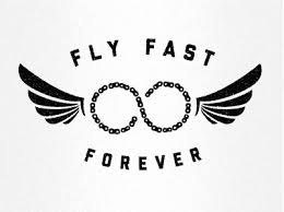 Image result for fly logo