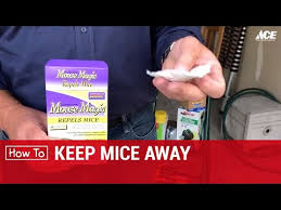 Solar ultrasonic power pest animal repeller repellent garden infrared induction cat dog repelling device. How To Keep Mice Away Ace Hardware Youtube