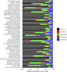 Image result for Lefebvrea longipedicellata