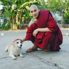 Myanmar (actor/model) fan acc kalicos you can follow me thank you. Qurvac7h6qhzsm
