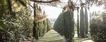 Eine wunderschöne hochzeitslocation, umgeben von weinbergen und zypressen. Weingut Mussler Wein Direkt Ab Hof Kaufen Wirwinzer De