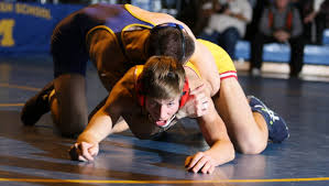 Voorhees wrestling earns 600th win with Saturday's victory over Livingston