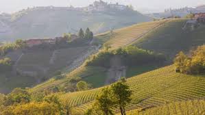 This city is very beautiful, very italian, with beautiful coffee corners, restaurants, wine shops and tartuf shops ! Piedmont Italy S Truffle Region Home Of The World S Most Expensive Culinary Treasure White Truffle