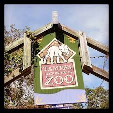 Tampa S Lowry Park Zoo Zoo Park Florida Vacation