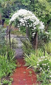 We did not find results for: Sandy Parrill Sweet Autumn Clematis Covering Chaos With Spicy Fragrance Lifestyles Joplinglobe Com