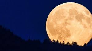Jelajahi koleksi bulan super, bulan purnama, bulan gambar logo, kaligrafi, siluet kami yang luar biasa. Siap Siap Fenomena Supermoon Pertama 2020 Terjadi Malam Ini Apa Dampaknya Tribunnews Com Mobile