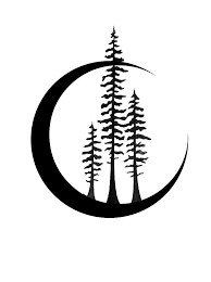 Redwoods In Crescent Moon By Tbrentmar Tree Tattoo Men Pine Tree Silhouette Tree Tattoo